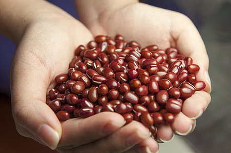 close up photo of person scoop of beans thumbnail