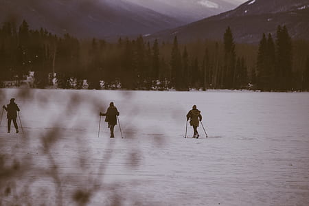 three persons skiing on white snow during daytime thumbnail