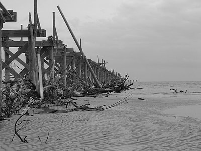 grayscale photo of wrecked wooden dock near seashore thumbnail