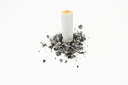 white cigarette butt thumbnail