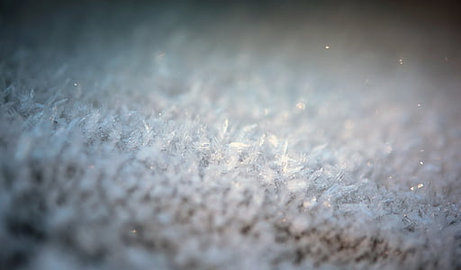 blur, close-up, cold, focus, frost thumbnail