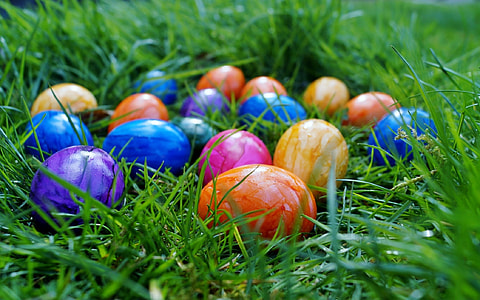 assorted-color eggs on green grass thumbnail
