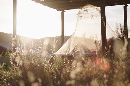 person inside white mosquito net thumbnail