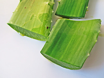 Aloe Vera, Treatment Of Burn thumbnail