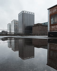 gray high-rise building near body of water thumbnail