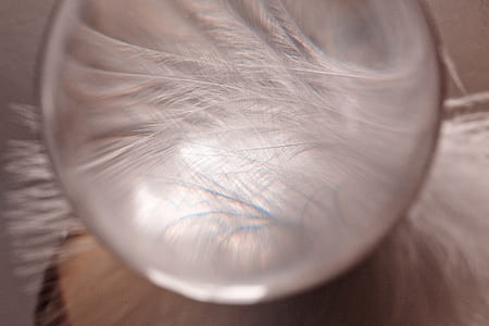 glass ball, feather, ease, airy, spring dress, bird feather thumbnail