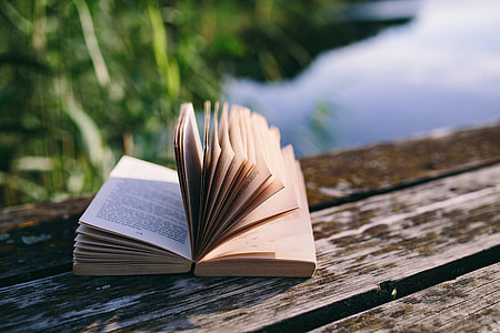 Reading book at lake thumbnail