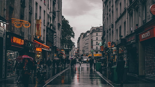 people walking on street holding umbrella while raining thumbnail
