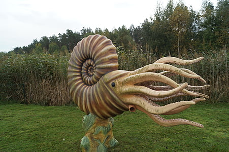Nautilus statudecor thumbnail
