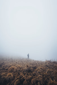person standing on brown hays thumbnail