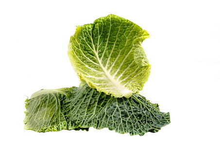 leafy vegetable against white background thumbnail