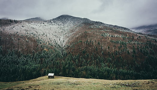 white and brown shed on cliff under white clouds thumbnail