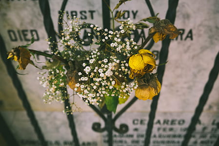 closeup photographyof baby's breath flowers and yellow rose flowers bouquet hang on black wrought iron grille thumbnail