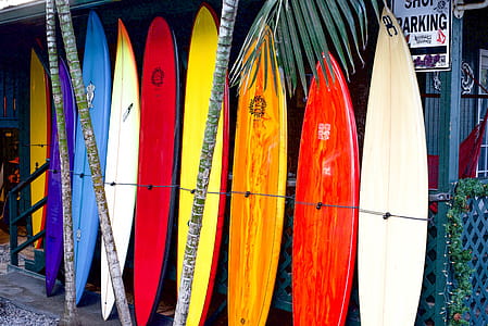Assorted Colors Of Surfboard thumbnail