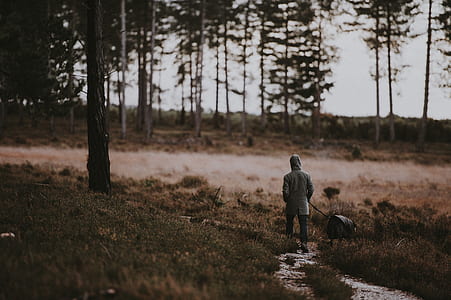 man walking with his dog near trees during daytime thumbnail
