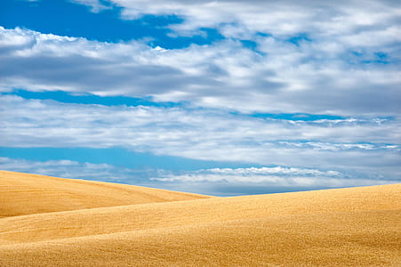 sand field under cloudy sky thumbnail