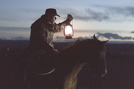 man in black jacket riding on brown horse thumbnail