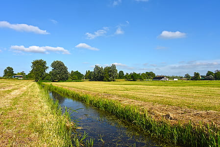 green grass field thumbnail