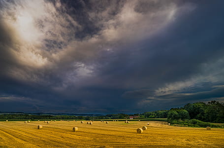 brown hay roll lot thumbnail