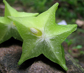 Star Fruit, Averrhoa Carambola thumbnail