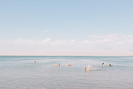 people swimming on beach during daytime thumbnail