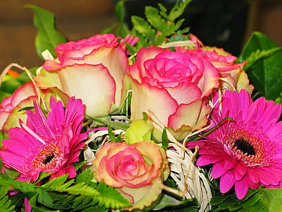 pink-and-white flowers thumbnail