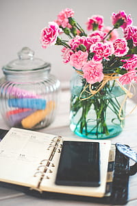 pink carnation flowers in vase thumbnail