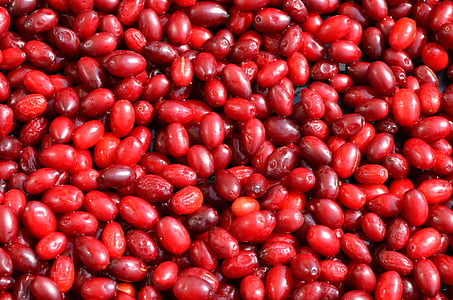 pile of red berries thumbnail