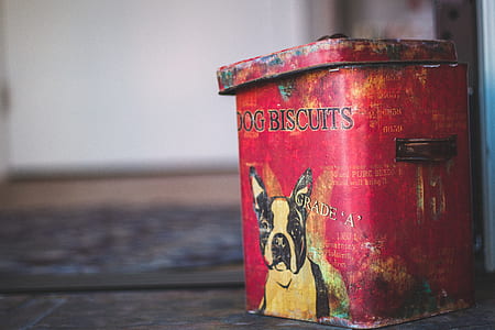 closeup photo of dog biscuit container thumbnail