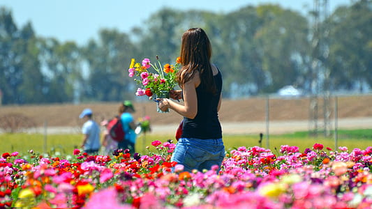 woman in black sleeveless shirt standing on field of pink petaled flowers thumbnail