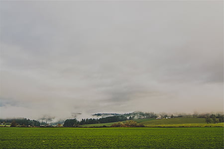 lawn field near house during daytime thumbnail