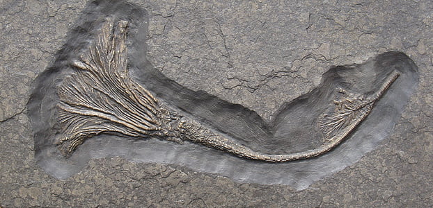 mermaid engraved on gray rock thumbnail