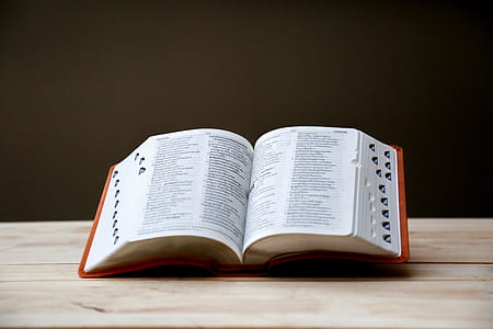 shallow focus photography of open book thumbnail