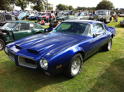 blue coupe on green grass during daytime thumbnail
