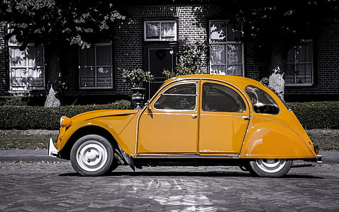 brown Volkswagen Beetle coupe in selective color photography thumbnail