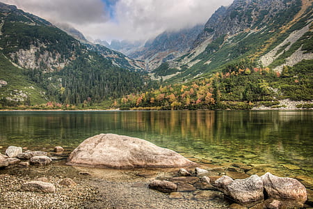 green body of water beside green mountains thumbnail