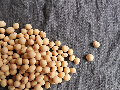 bunch of round brown nuts thumbnail