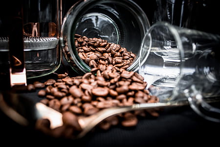 Coffee Beans Spoiling on Clear Glass Jar Near Clear Glass Mug thumbnail