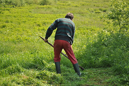 man cutting down grasses thumbnail