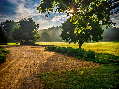 green leafed plants and trees during daytime thumbnail
