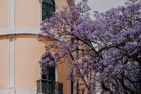 Lisbon Architecture, Portugal thumbnail