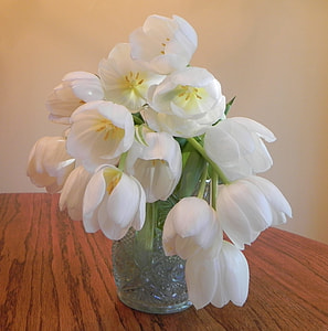 white petaled flowers on vase on table thumbnail