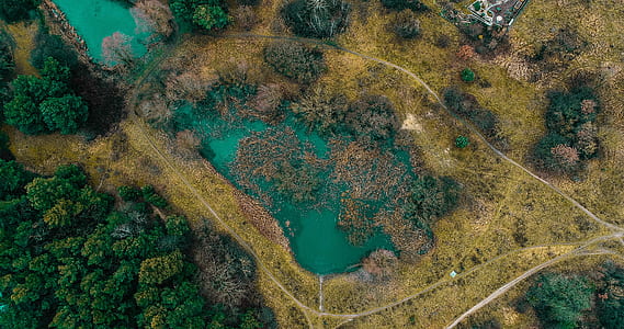 bird's-eye view photography of land with body of water thumbnail