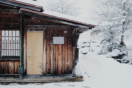 brown flush door near snow trees thumbnail