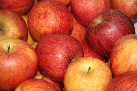 red apple pile thumbnail