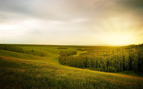 landscape during daytime thumbnail