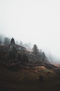 landscape photography of hill with fog coming down thumbnail