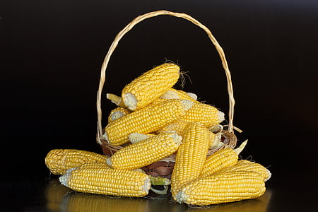photo of yellow corns thumbnail