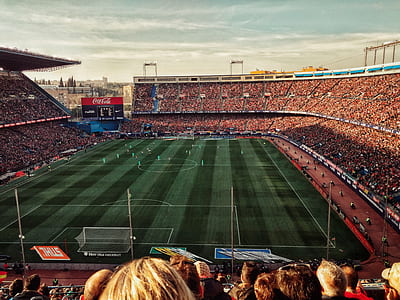 landscape photography of stadium thumbnail
