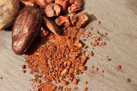 brown nut close-up photography thumbnail